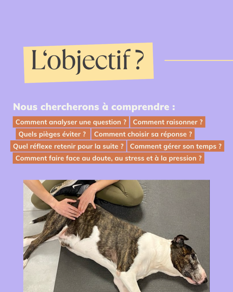 La fabrique template Canva