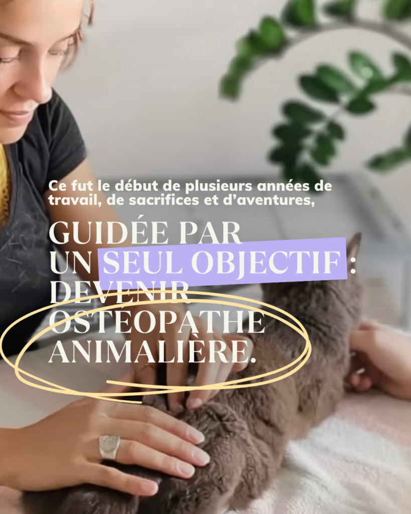La fabrique template Canva